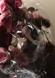 被操哭的高岭之花其实会催眠【np/总受】